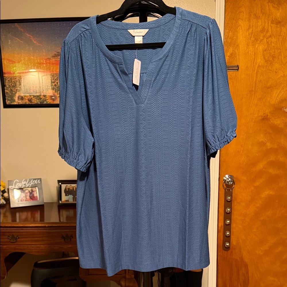 Christopher & Banks Blue Textured Split-Neck Tunic Top